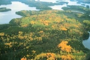 (Photo: Quetico Provincial Park)